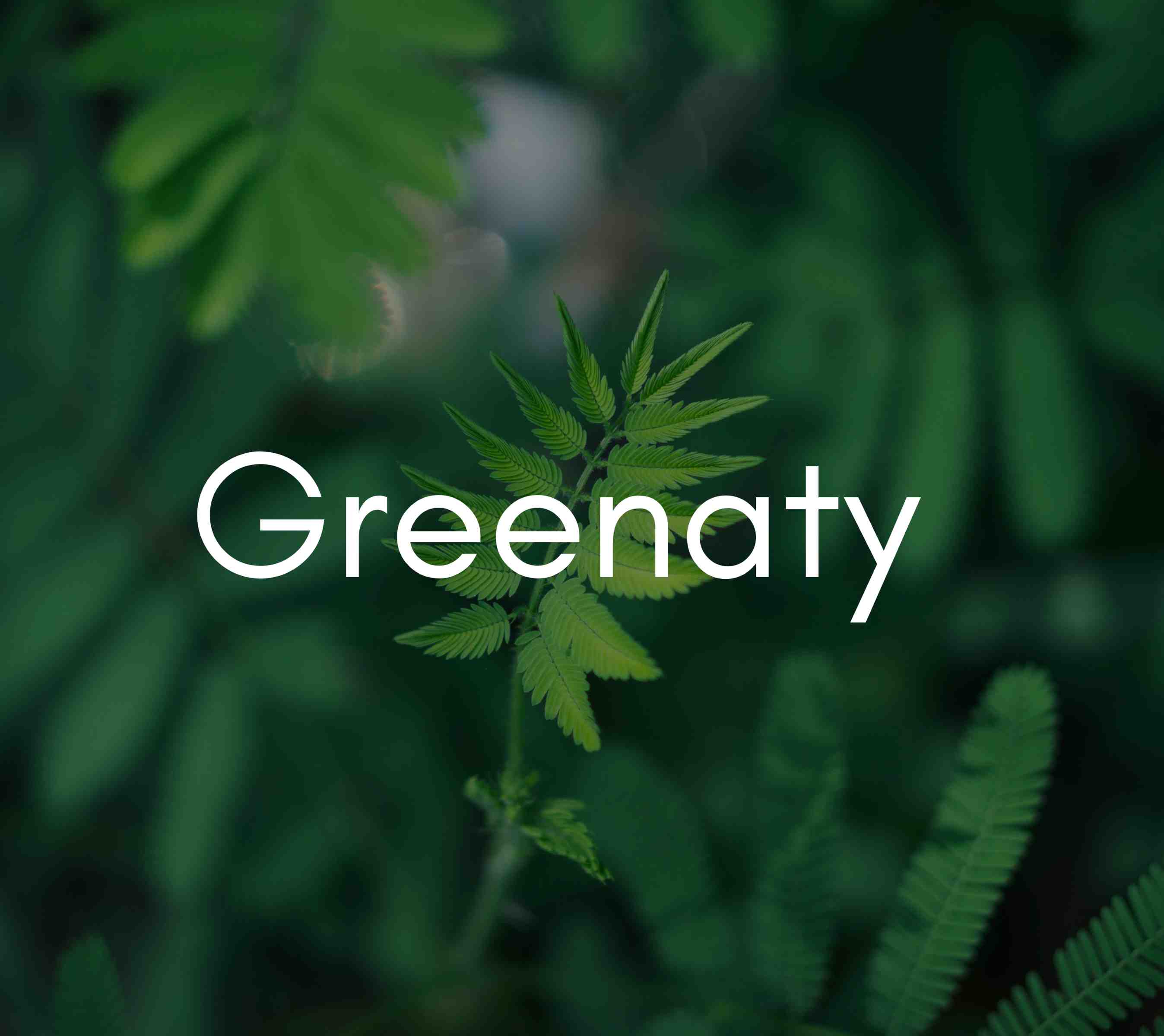 Why greenaty? Greenaty value propositions 